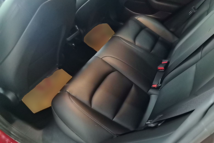 Tesla Model 3 2020 car image #13
