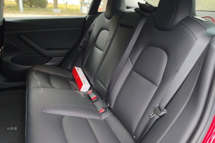Tesla Model 3 2020 car image #19