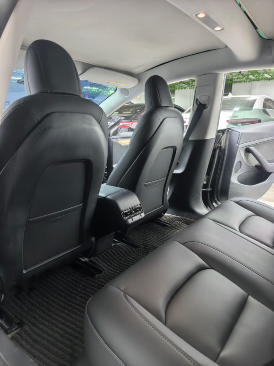 Tesla Model 3 2023 #9 Tesla Model 3 2023 car image #9