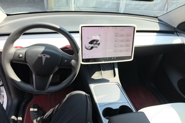 Tesla Model Y 2021 #10 Tesla Model Y 2021 car image #10