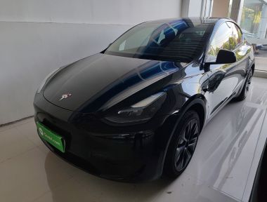 Tesla Model Y 2024 car image 