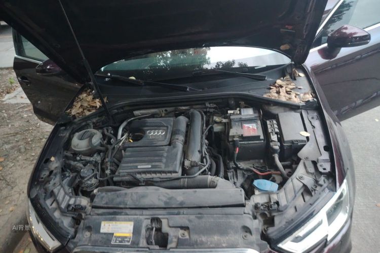 Audi A3 2020 #22 Audi A3 2020 immagine di auto #22