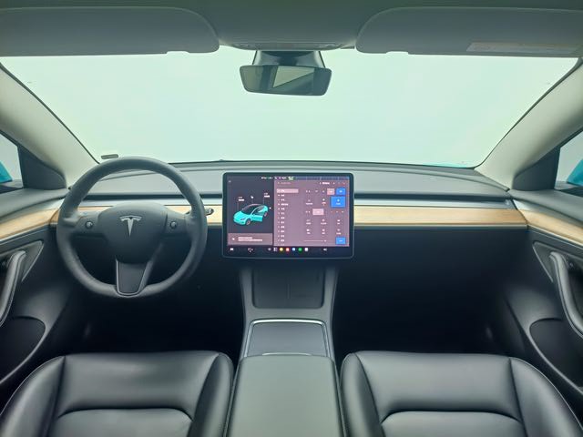 Tesla Model 3 2021 car image #6