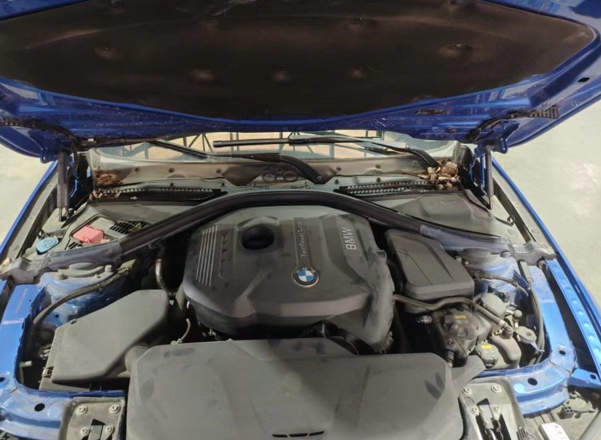 BMW 3 Series 2017 #5 BMW 3 Series 2017 car image #5