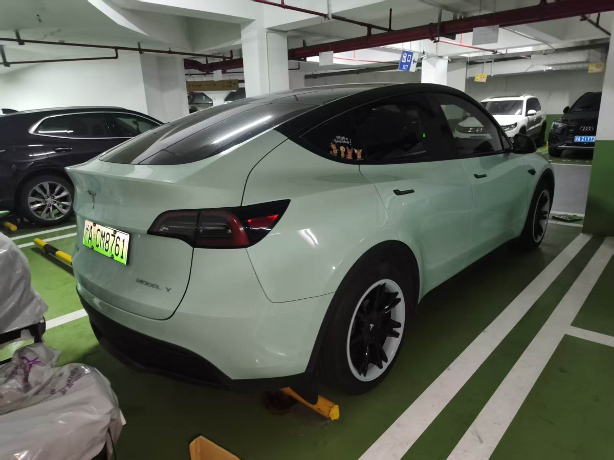 Tesla Model Y 2024 car image #9