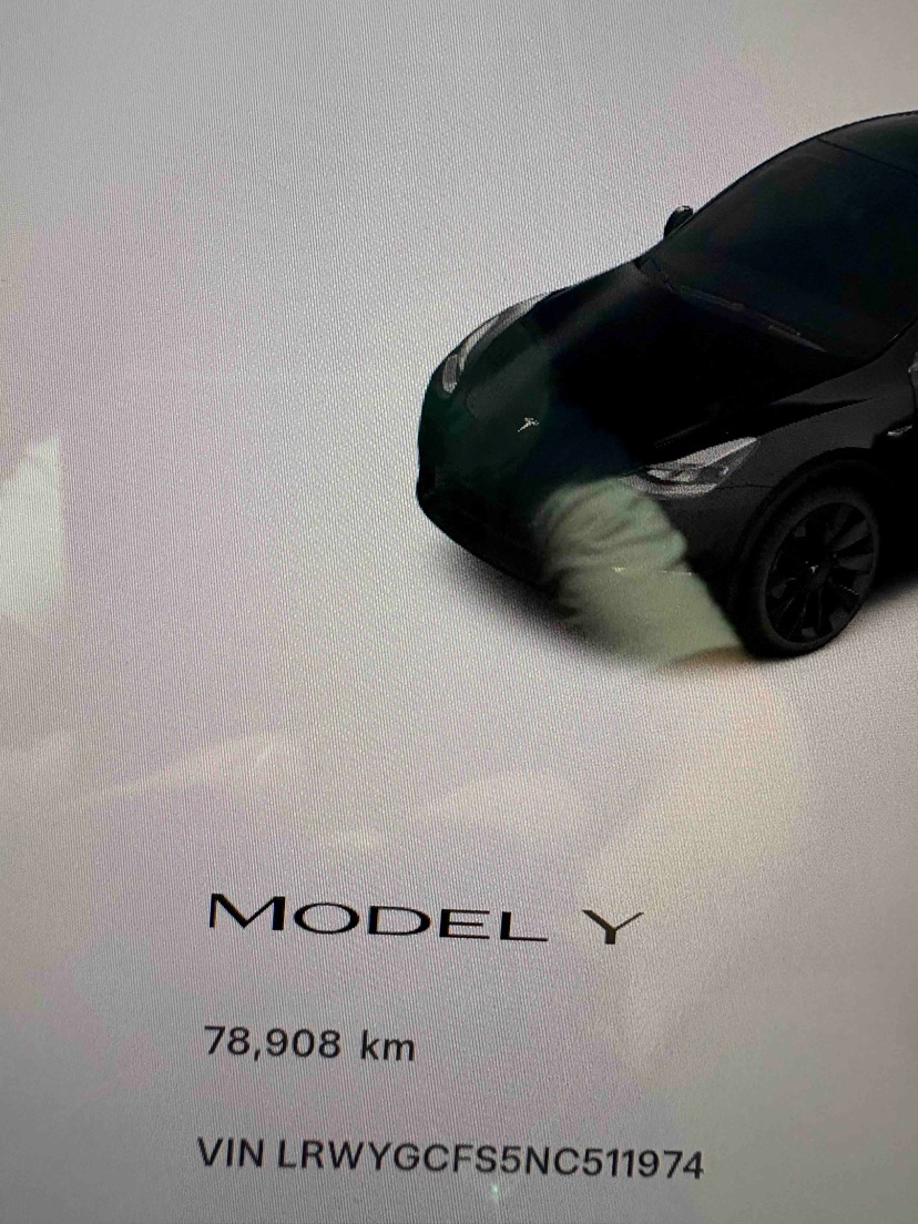 Tesla Model Y 2022 car image #7