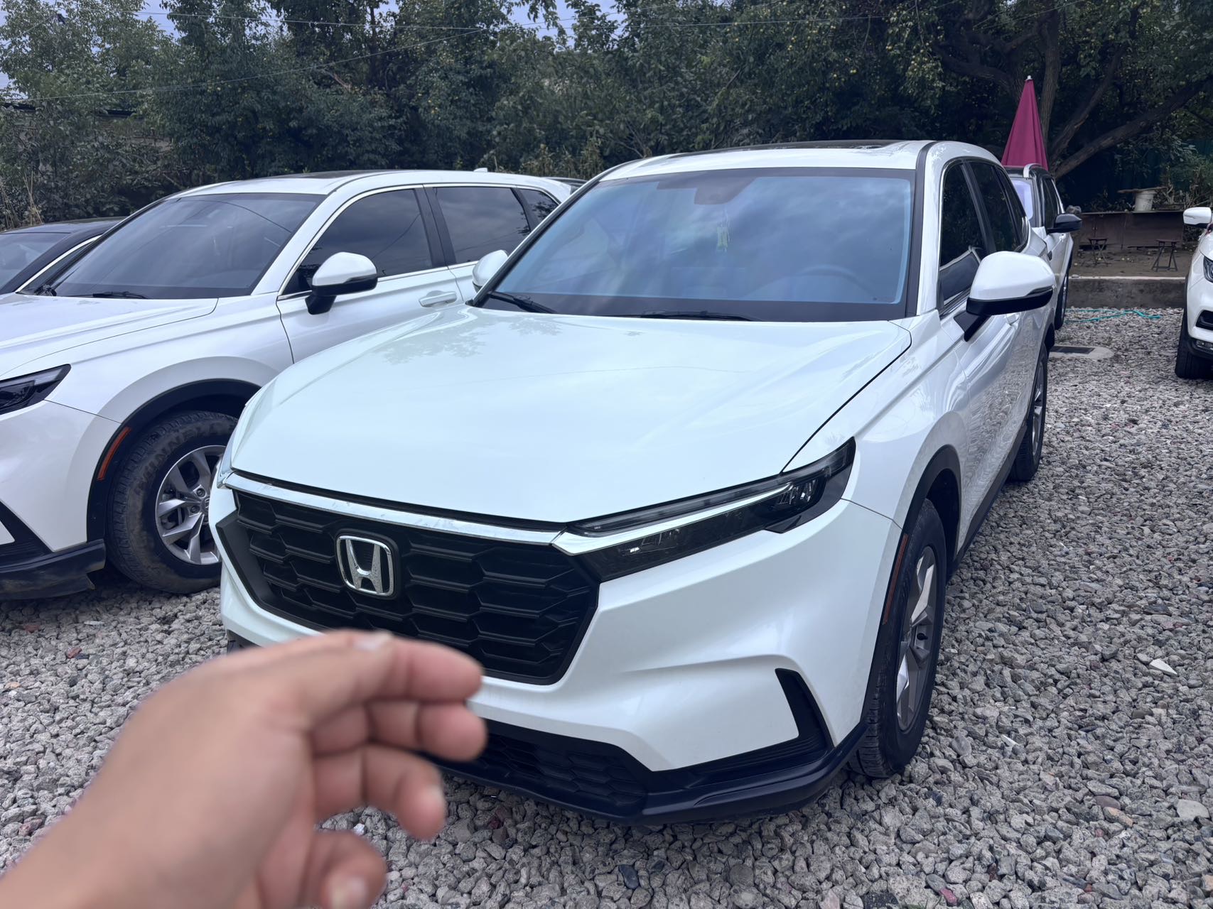 Honda CR-V 2023 car image 