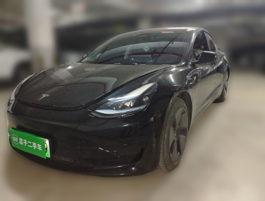 Tesla Model 3 2023 immagine di auto 