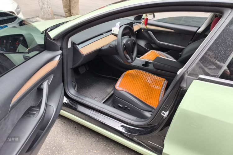 Tesla Model 3 2021 car image #18