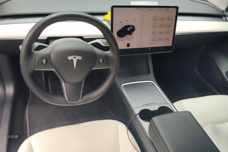 Tesla Model 3 2022 immagine di auto #11