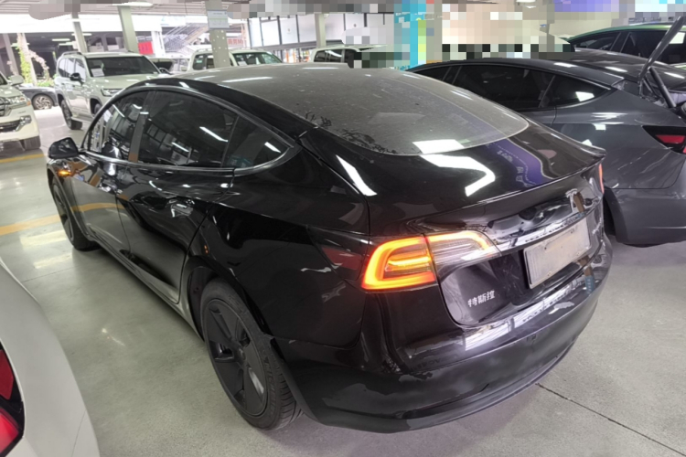 Tesla Model 3 2023 #5 Tesla Model 3 2023 car image #5