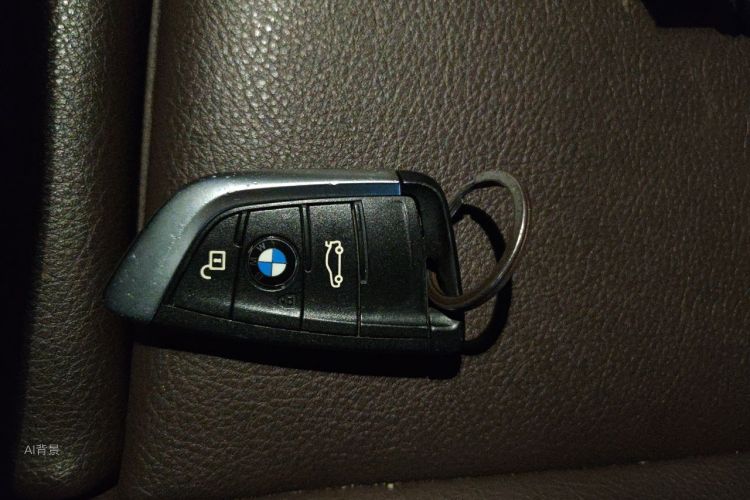 BMW X1 2020 car image #10