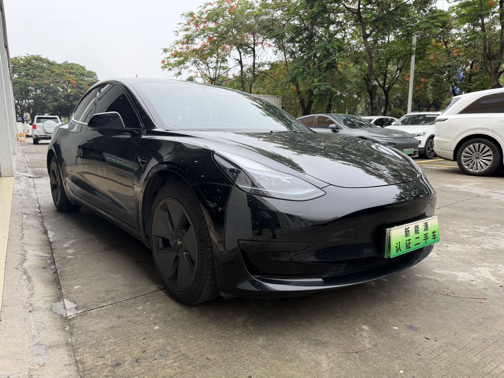 Tesla Model 3 2021 #3 Tesla Model 3 2021 car image #3