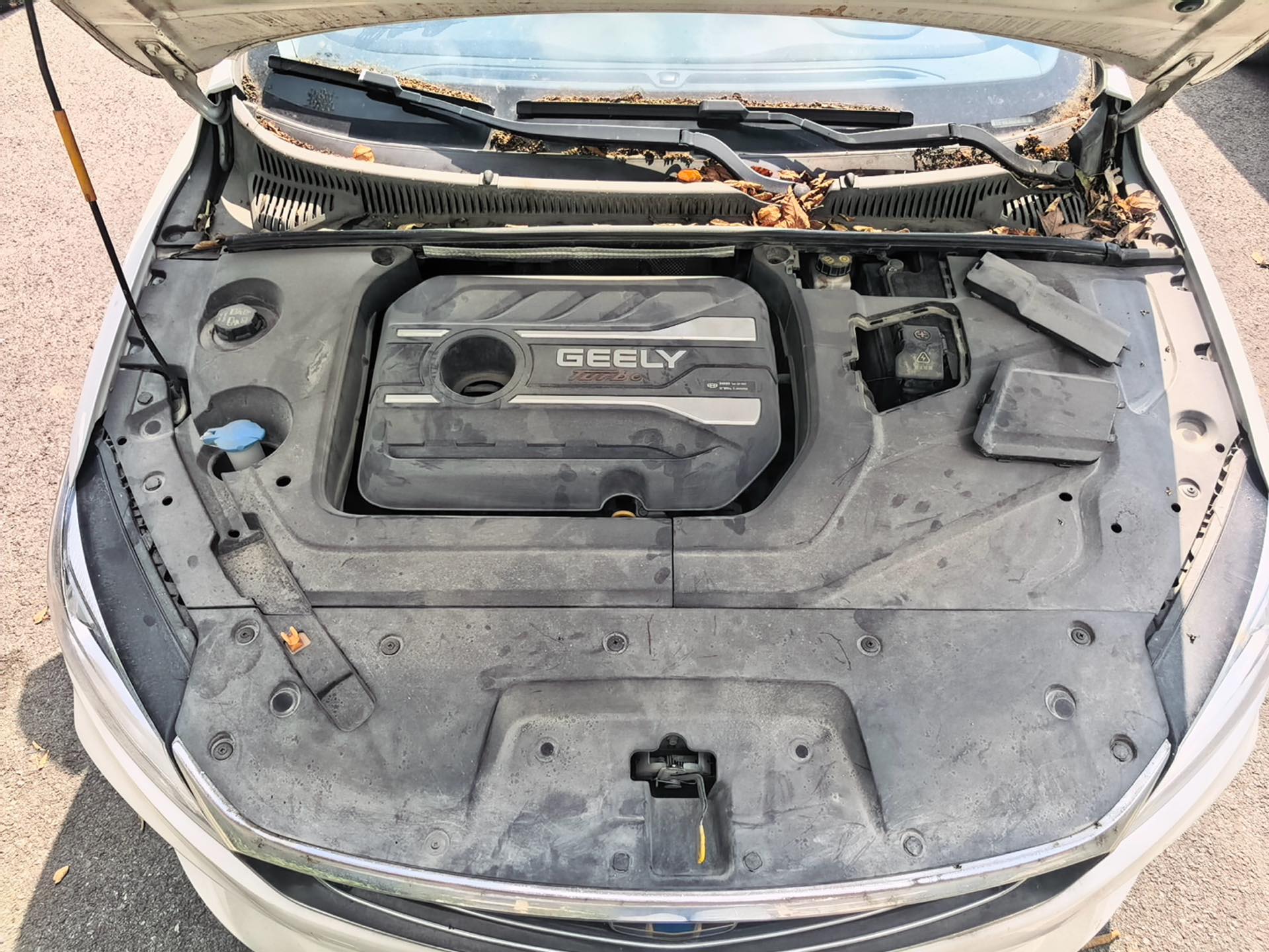 GEELY Binray 2018 car image #4