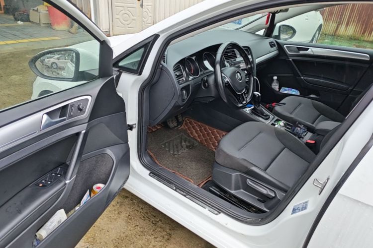 Volkswagen Golf 2019 car image #16