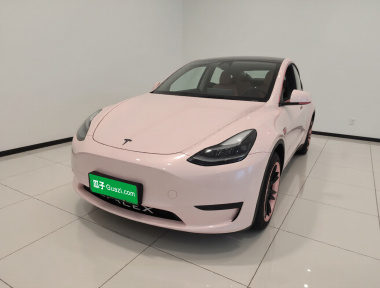 Tesla Model Y 2023 Tesla Model Y 2023 car image