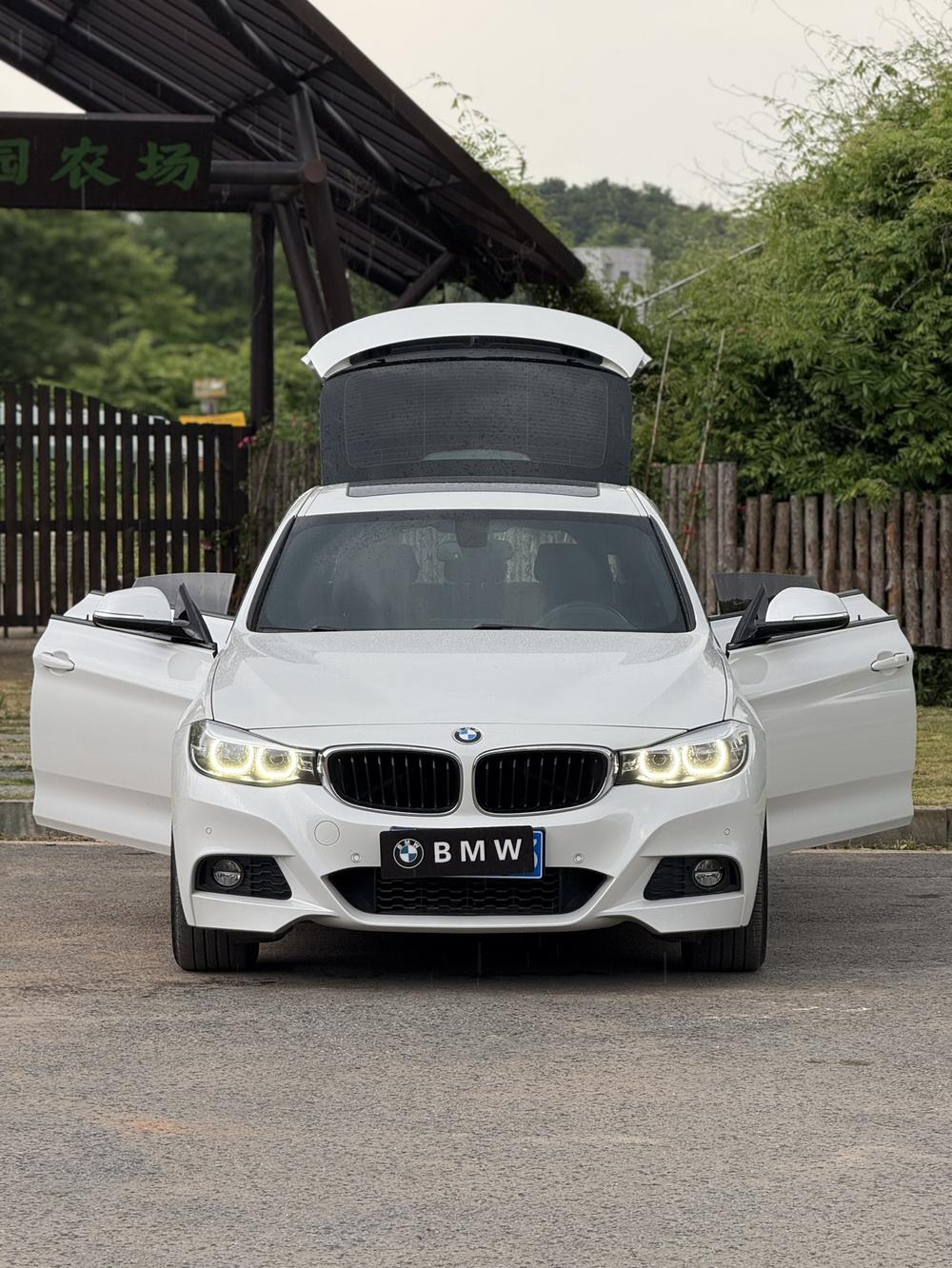 BMW 3 Series GT 2020 #2 BMW 3 Series GT 2020 car image #2
