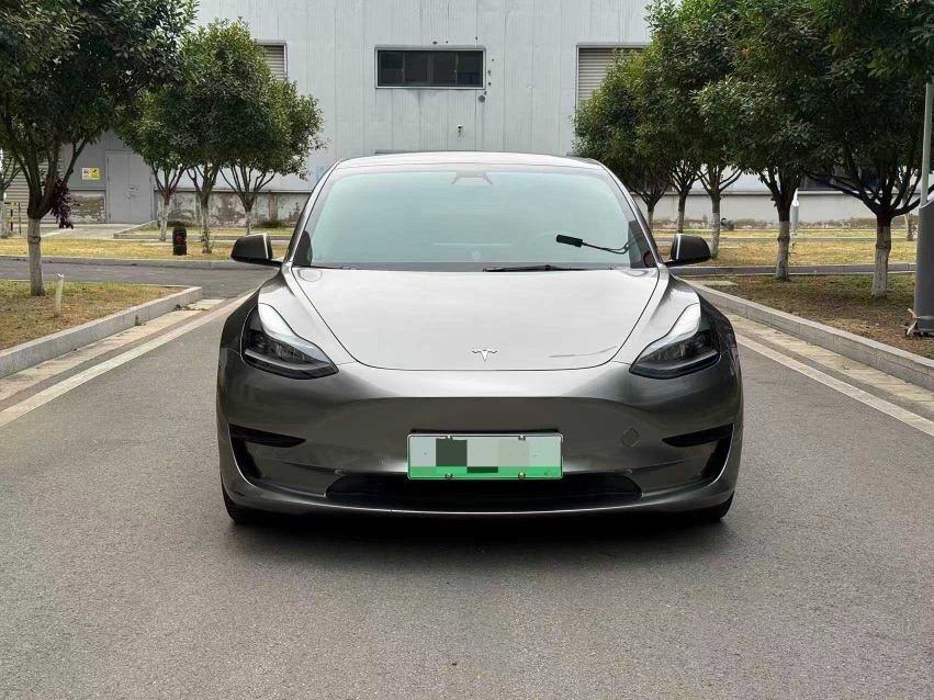 Tesla Model 3 2021 car image #2
