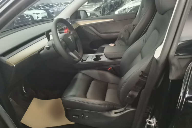 Tesla Model Y 2023 #15 Tesla Model Y 2023 car image #15