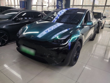 Tesla Model Y 2022 car image 