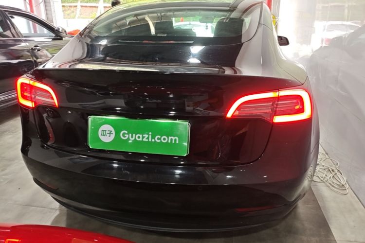 Tesla Model 3 2021 immagine di auto #6