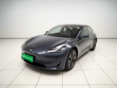 Tesla Model 3 2021 Tesla Model 3 2021 صورة سيارة