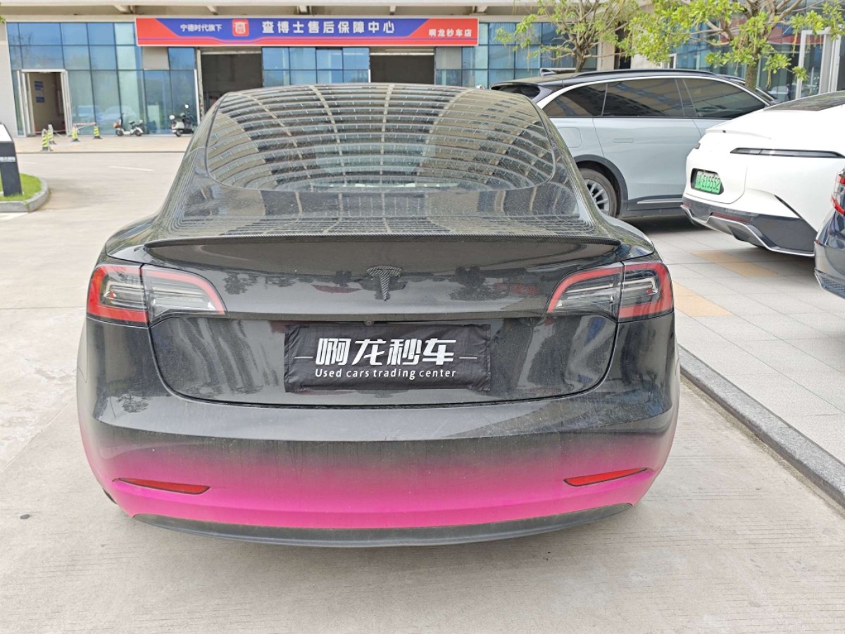 Tesla Model 3 2023 #6 Tesla Model 3 2023 car image #6