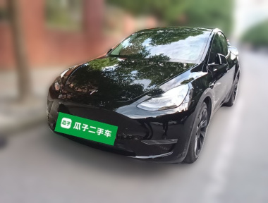 Tesla Model Y 2021 Tesla Model Y 2021 immagine di auto