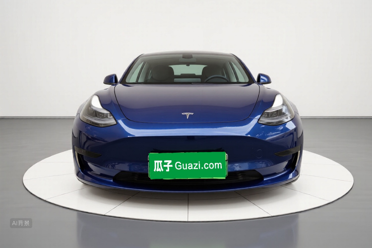 Tesla Model 3 2021 #3 Tesla Model 3 2021 car image #3