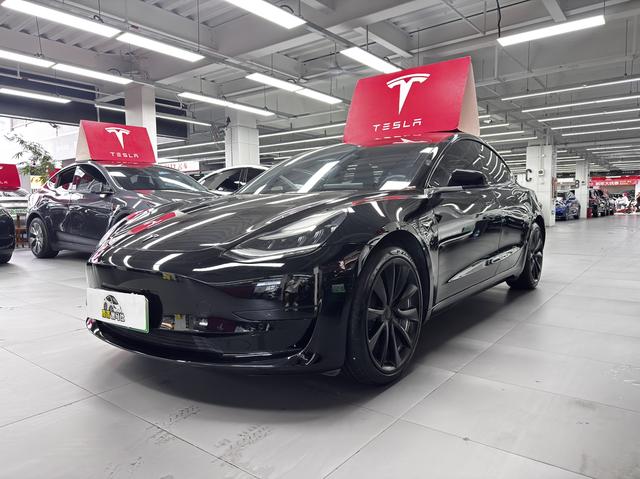 Tesla Model 3 2020 car image #15