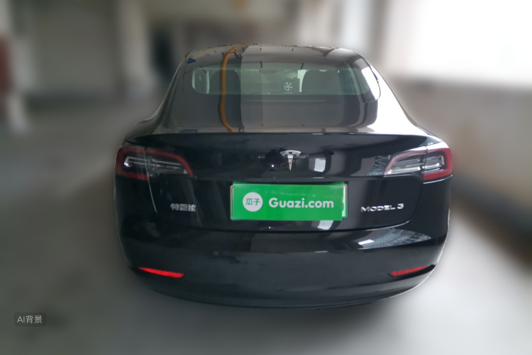 Tesla Model 3 2020 car image #6