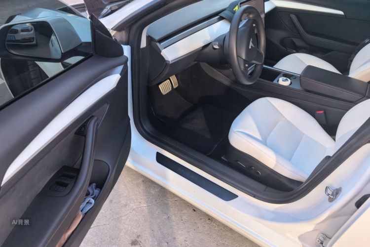 Tesla Model 3 2021 car image #18