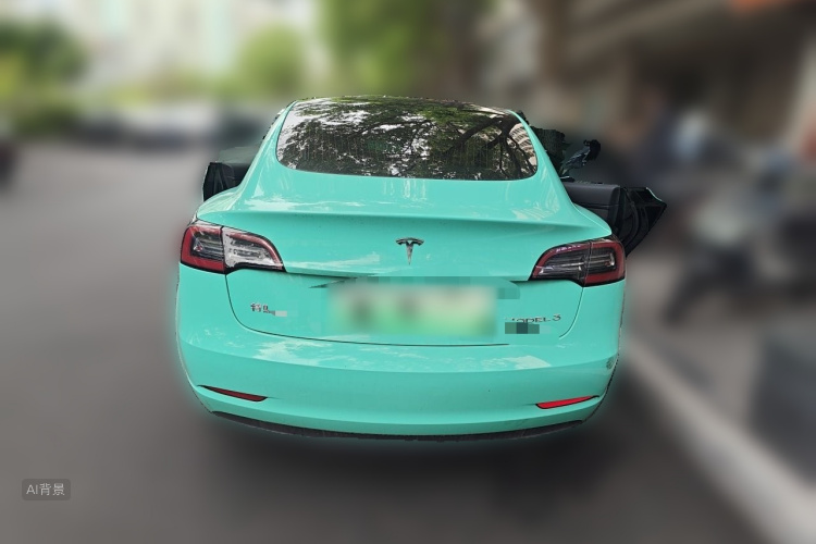 Tesla Model 3 2020 car image #6