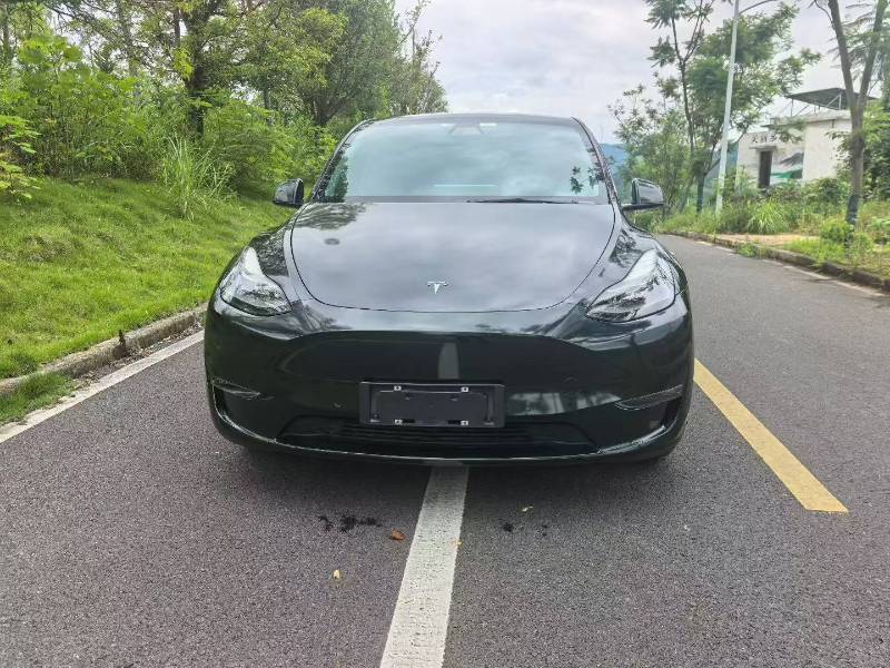 Tesla Model Y 2022 Tesla Model Y 2022 car image