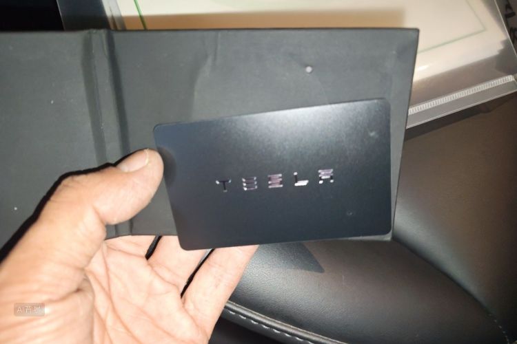 Tesla Model Y 2023 #10 Tesla Model Y 2023 car image #10
