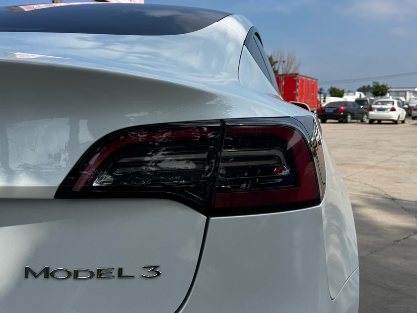 Tesla Model 3 2022 #7 Tesla Model 3 2022 car image #7