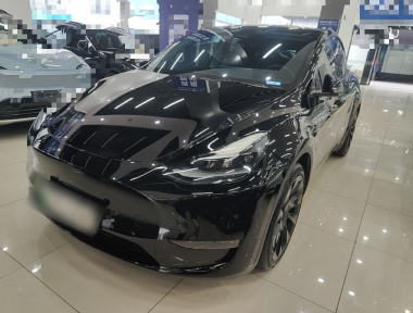 Tesla Model Y 2021 Tesla Model Y 2021 car image