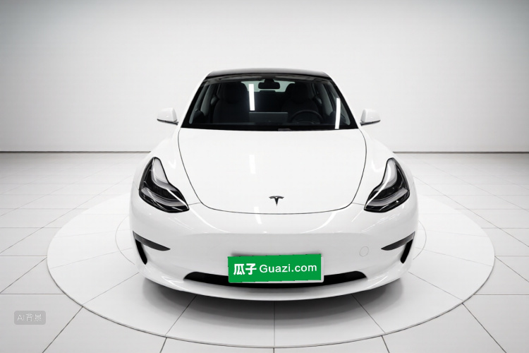 Tesla Model 3 2020 car image #3