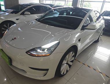Tesla Model 3 2023 Tesla Model 3 2023 car image