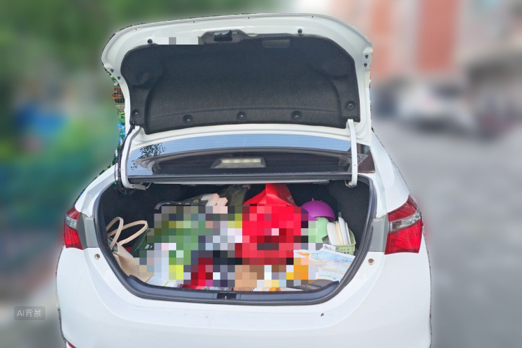 Toyota Corolla 2017 #21 Toyota Corolla 2017 car image #21
