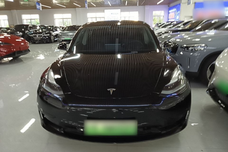 Tesla Model 3 2022 #3 Tesla Model 3 2022 car image #3