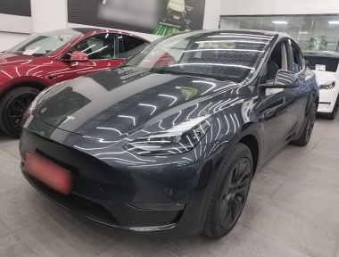 Tesla Model Y 2024 car image 