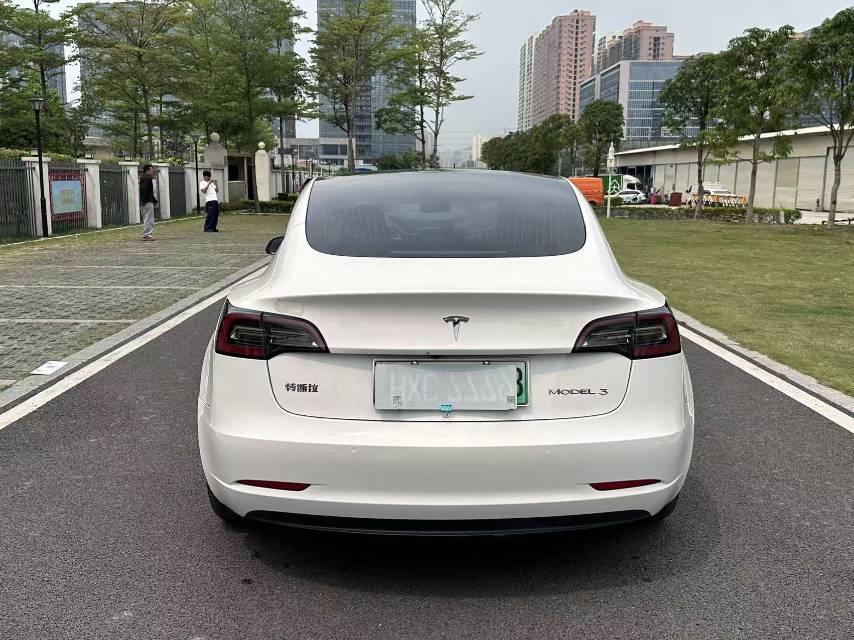 Tesla Model 3 2020 car image #10