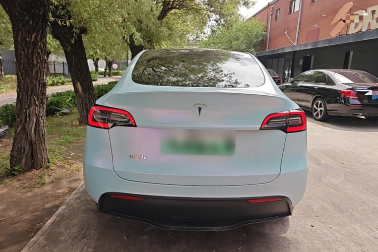 Tesla Model Y 2024 car image #6