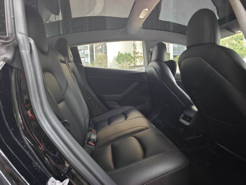 Tesla Model 3 2020 car image #6