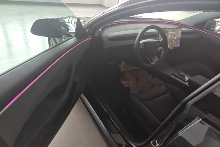 Tesla Model 3 2024 car image #16