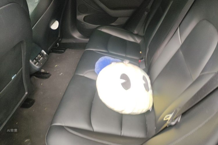 Tesla Model 3 2021 car image #19