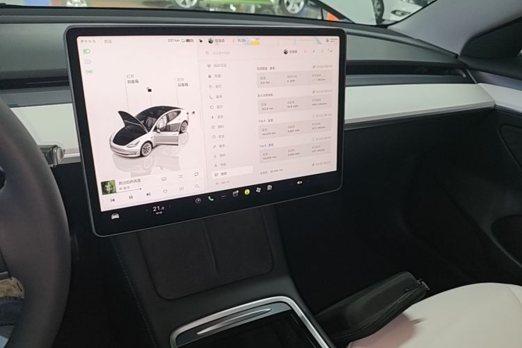 Tesla Model 3 2022 car image #13