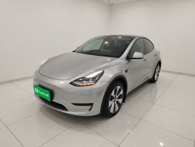 Tesla Model Y 2023 car image 