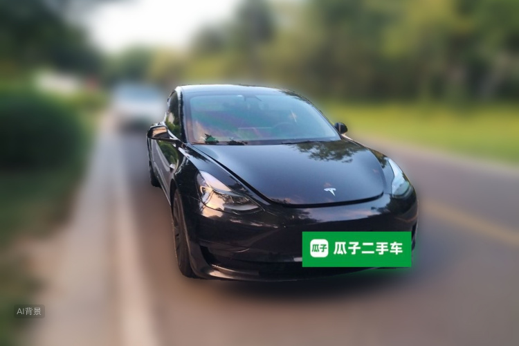 Tesla Model 3 2021 #4 Tesla Model 3 2021 car image #4